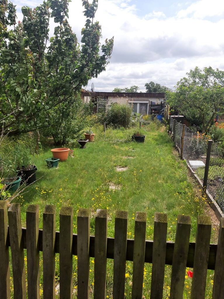 Foto Garten
